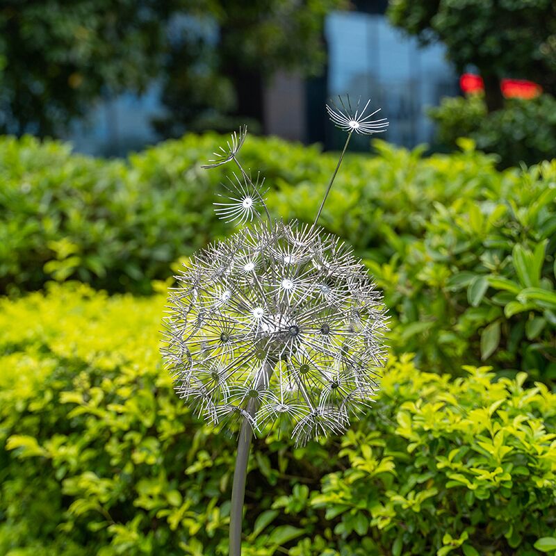 Outdoor garden grass Stainless steel dandelion sculpture (2)